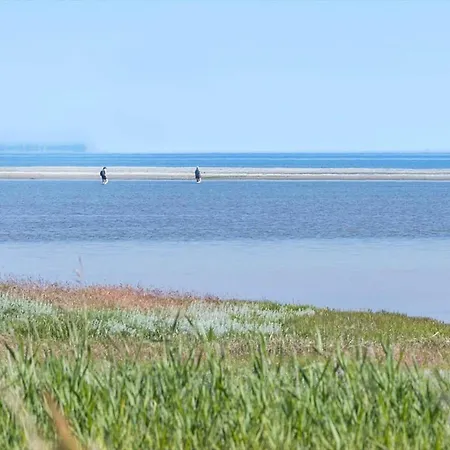 Hébergement de vacances 8995-orsted-alsikevej-9 *