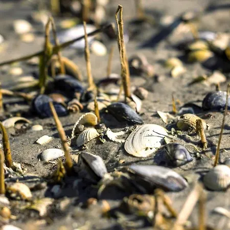 別荘 8995-orsted-alsikevej-9 *